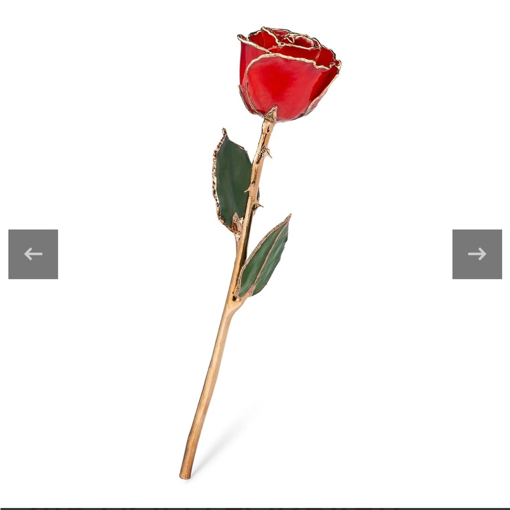 Elegant Real Red Rose Preserved in 24k Gold forever Rose NEW In box